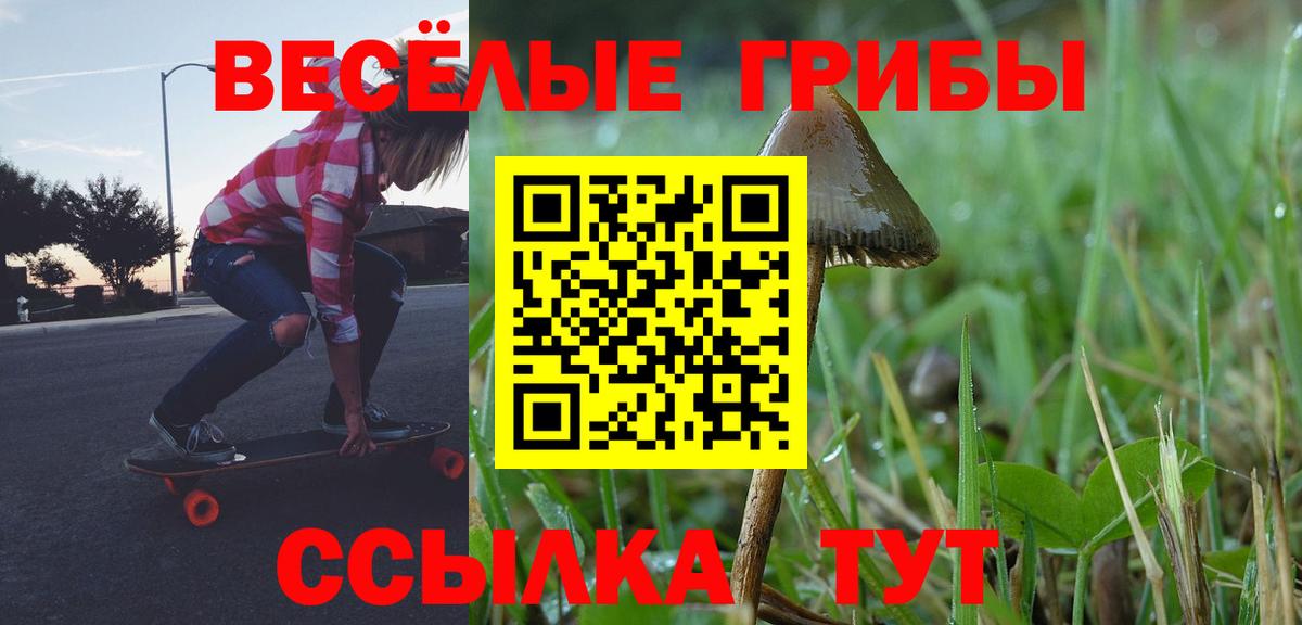 Псилоцибиновые грибы Psilocybine cubensis  Галлюциногенные грибы мицелий  Вход с VPN  Нефтекамск 